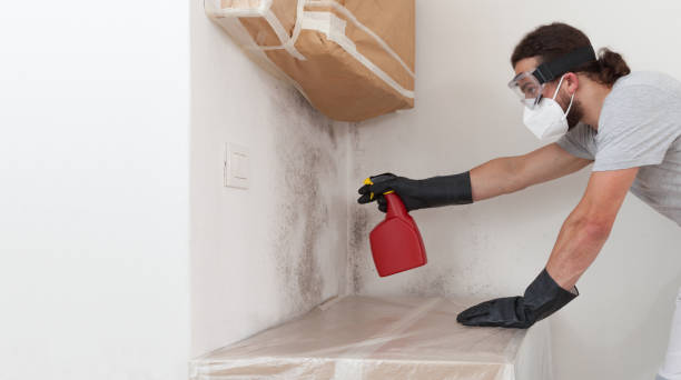 Professional Commercial Mold Remediation technician working in Islip Terrace, NY